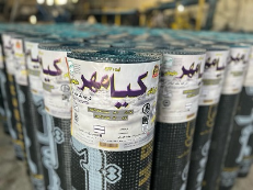 ایزوگام کیامهر